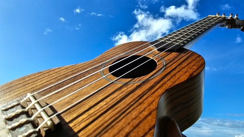 🎼 Initiation au Ukulele 🎵